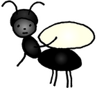 Pohádky Zlatovláska mravenec2